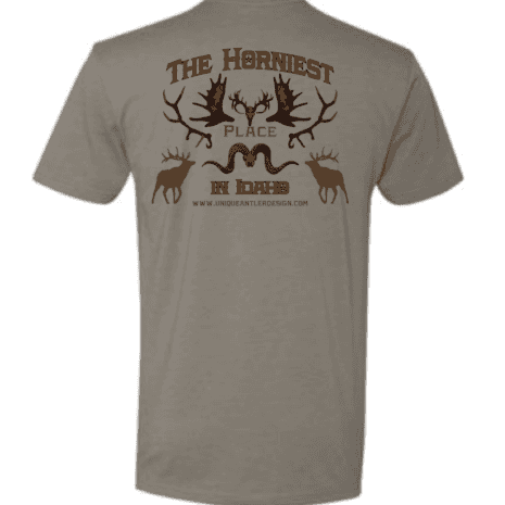 HPI T-shirt